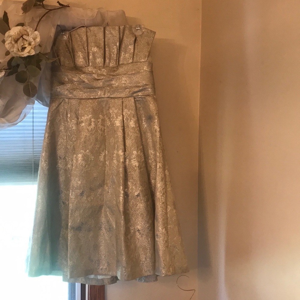 Priscilla size 10 dress